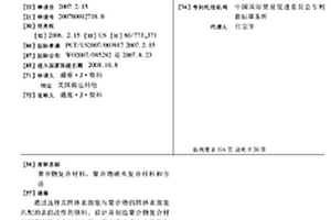 聚合物复合材料,聚合物纳米复合材料和方法