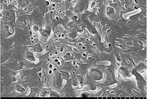 制备铜基纳米氧化锌-聚偏氟乙烯复合材料的方法