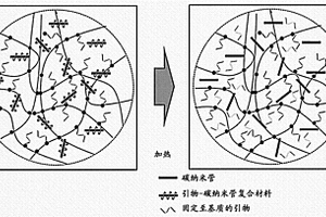 包含核酸引物‑碳材料复合材料的多孔基质及使用所述多孔基质的PCR