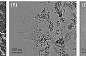 3D-rGO/Fe<sub>3</sub>O<sub>4</sub>-AuNPs/HP-β-CD复合材料的制备方法和应用