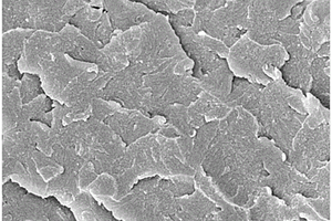 Fe2O3改性多壁碳纳米管/环氧树脂复合材料及其制备方法