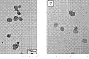 共沉淀法制备甲氨蝶呤/类水滑石纳米复合材料