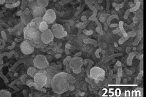 碳纳米管嵌入的氮掺杂的碳@CoO核壳结构复合材料及其制备