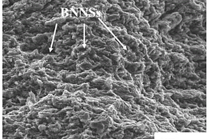 BN纳米片/铝基复合材料的制备方法