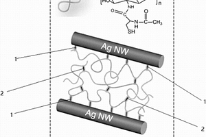 银‑硫共价键增强银线和巯基壳聚糖复合材料及其制备方法