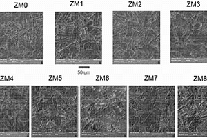 用于超高频率的Mo掺杂的Co2Z‑型铁氧体复合材料