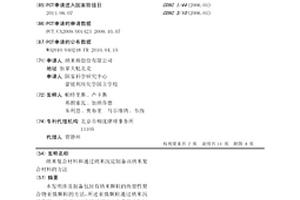 纳米复合材料和通过纳米沉淀制备该纳米复合材料的方法