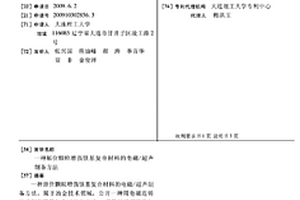 原位颗粒增强镁基复合材料的电磁/超声制备方法