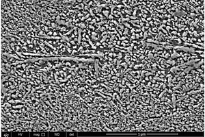 激光原位强韧化镁基纳米复合材料骨植入体及其成形方法