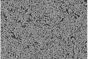 碳纳米管增强钨铜复合材料的制备方法