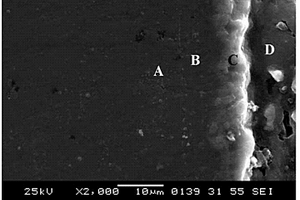 镁表面超声微弧氧化-HF-硅溶胶多级复合生物活性涂层复合材料的制备方法