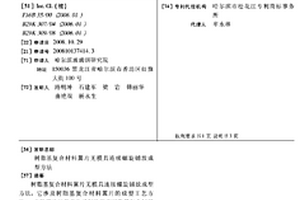 树脂基复合材料翼片无模具连续螺旋铺放成型方法