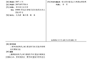 三维网状结构Ti2AlC增强的TiAl基复合材料及其制备方法