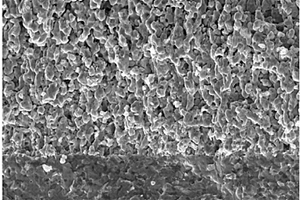 抗超高温度氧化损伤的二硼化锆-碳化硅陶瓷基复合材料的制备方法
