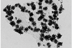 金纳米星/二硫化钼复合材料的制备方法及其应用