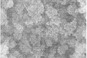 多孔铸型碳/氧化锰纳米复合材料及其制备方法