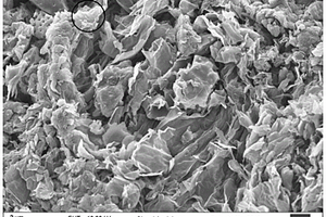 壳聚糖/硅藻土/氧化石墨烯复合材料及其制备方法和应用
