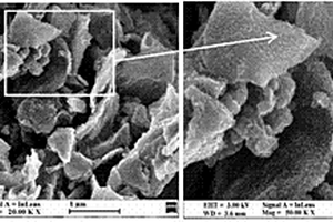 碳纳米角/石墨烯/聚苯胺复合材料的制备方法及应用