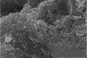 二氧化锰包覆碳硫复合材料及其制备方法、锂硫电池
