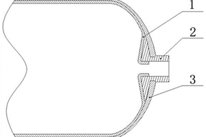 塑料内胆碳纤维增强热塑性树脂基复合材料贮氢瓶