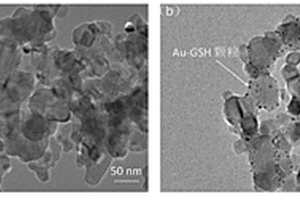 Au-GSH@TiO<Sub>2</Sub>@PDMS复合材料及其制备方法和应用