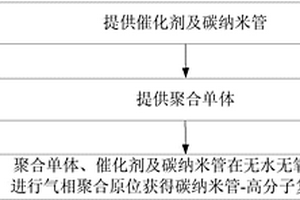 碳纳米管-高分子复合材料的气相聚合生产方法及装置