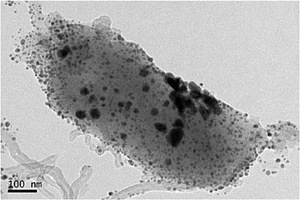 基于生物法制备碳纳米管基复合材料的方法