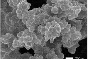聚吡咯/铂纳米粒子复合材料的制备方法及其应用