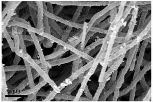 碳层包覆钴锌合金复合材料催化剂及其制备方法
