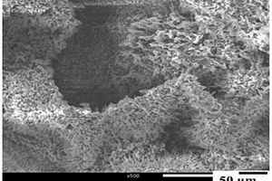 SPS烧结颗粒增强Ti-Al-Sn-Zr系耐高温钛基复合材料及其制备方法