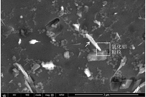 Al<sub>3</sub>Co包覆Al<sub>2</sub>O<sub>3</sub>纳米颗粒增强铝基复合材料及其制备方法