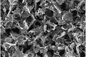 石墨烯负载Co-N-C超分子杂合气凝胶复合材料及其制备方法和应用