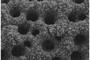金属氧化物/导电高分子纳米泡沫复合材料及其制备方法