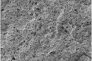 微孔发泡木塑复合材料及其制备方法
