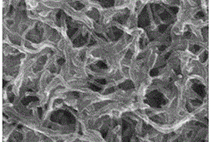 以电极为基底的聚对氨基苯磺酸/二氧化钛/碳纳米管纳米复合材料的制备方法及应用