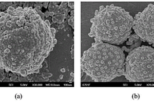 具有超疏水性能的微纳米碳酸钙@二氧化硅复合材料及其制备方法和用途