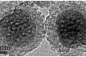 稀土掺杂NaYF<sub>4</sub>/碳量子点双模式荧光纳米复合材料的制备方法与应用