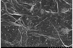 氧化锌/银/石墨烯纳米复合材料及其制备方法和应用
