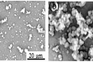 高强高生物活性可降解锌基复合材料及其制备方法