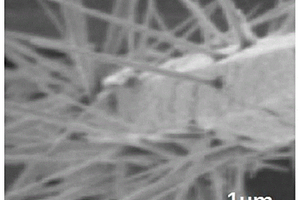 玻璃纤维增强抗菌PET复合材料
