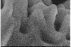 二氧化锰/碳/泡沫金属复合材料的制备方法和应用