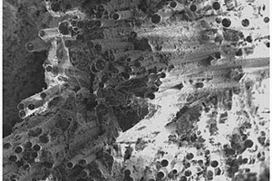 氮化硅纤维增强二氧化硅陶瓷基复合材料及其制备方法和应用