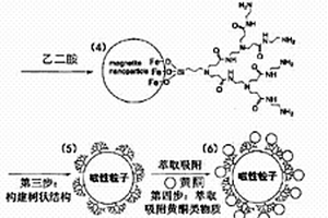 基于磁性纳米粒子-PAMAM纳米复合材料的金花茶中黄酮类物质分离方法