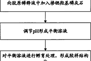 掺锶羟基磷灰石胶原复合材料及其应用和制备方法