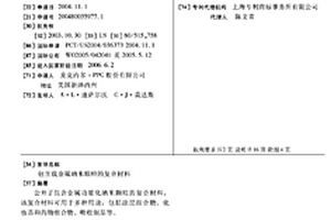 包含载金属纳米颗粒的复合材料