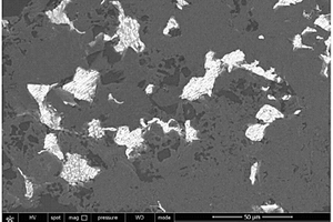 Ti<sub>3</sub>SiC<sub>2</sub>-Al<sub>2</sub>O<sub>3</sub>-SiC-Al复合材料及其制备方法