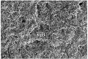 硼化钨钛基核屏蔽复合材料及其制备方法