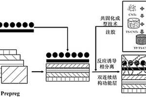 基于共固化和反应诱导相分离的复合材料功能改性方法