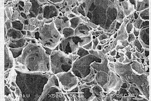 生物形貌碳化硅与分子筛复合材料的制备方法