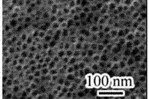 嗜盐菌光敏蛋白-二氧化钛纳米管复合材料及其制备方法